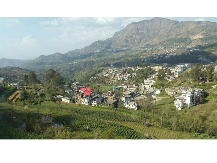Cottage 5 Solan Exterior foto